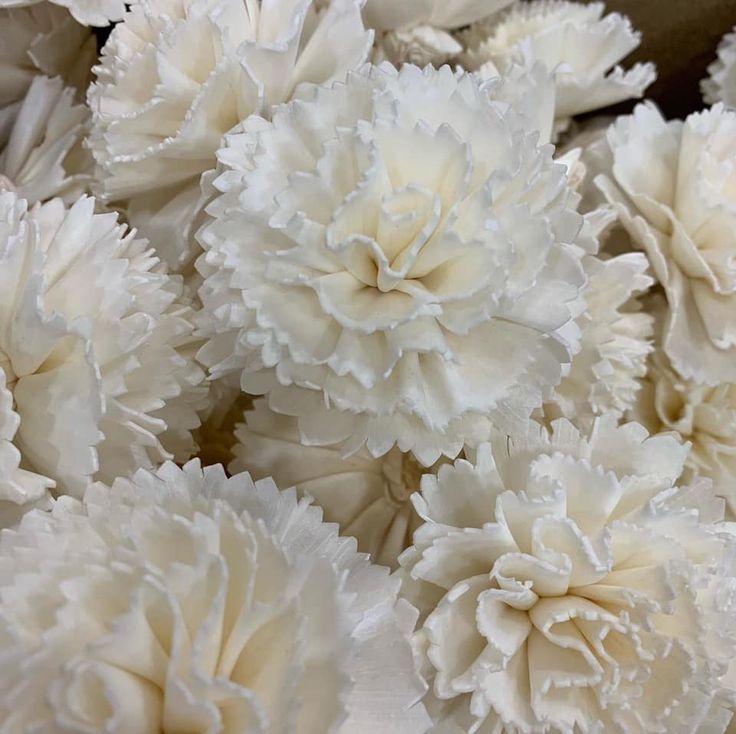 some white flowers are sitting together on the table