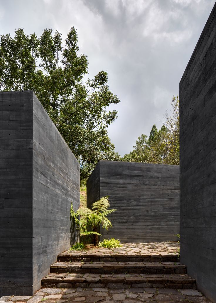 an outdoor area with stone steps and trees