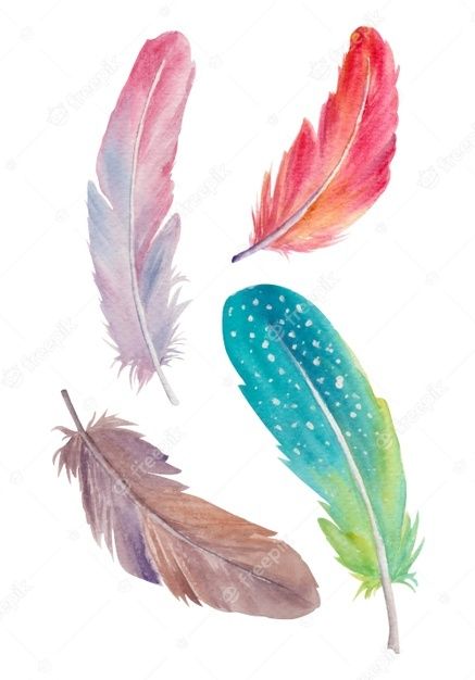 three watercolor feathers are shown on a white background, one is blue and the other is pink