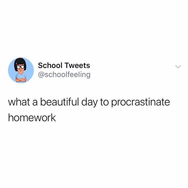 the tweet is posted to someone on their twitter account, which reads school tweets @ schoolfeeling what a beautiful day to procrastnate homework