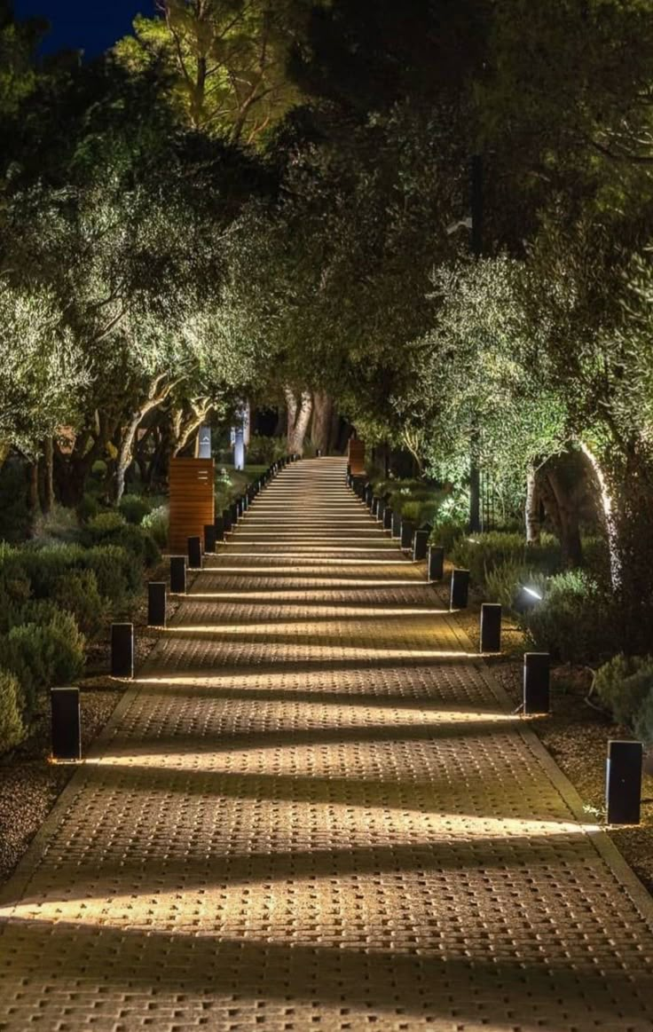 a pathway lined with trees and bushes at night