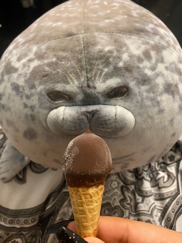 a stuffed seal with an ice cream cone in it's mouth is being held up to the camera