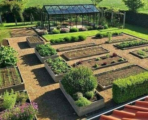 an aerial view of a vegetable garden