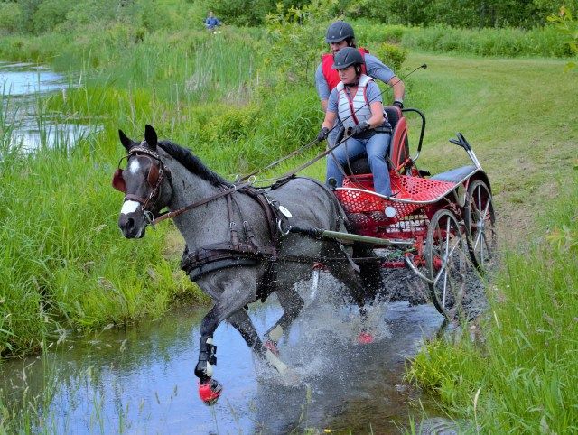 a man riding on the back of a horse drawn carriage through a river filled with water