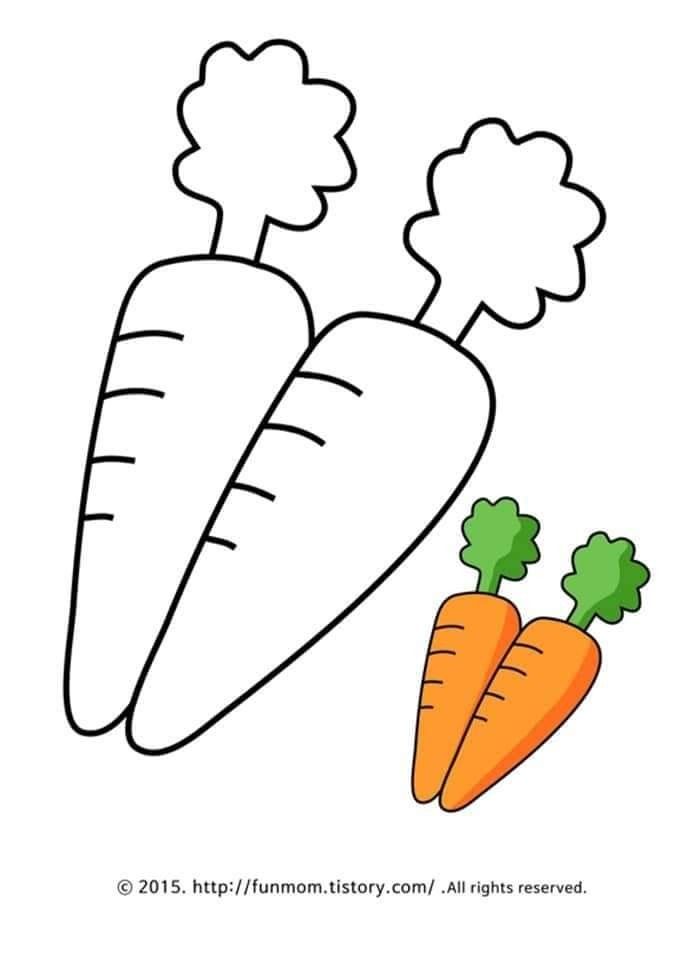 a drawing of carrots and broccoli on a white background