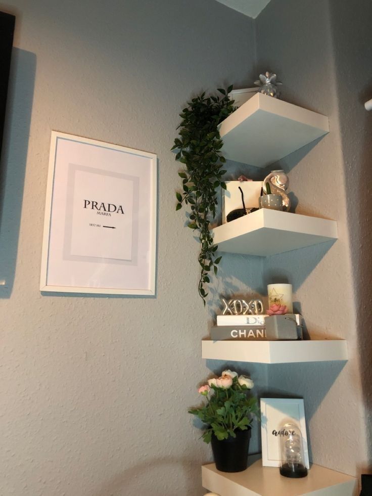 shelves with plants and pictures on them in a corner next to a framed photograph hanging on the wall