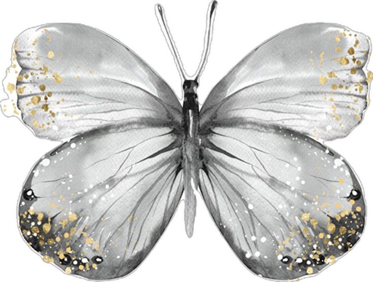 a white butterfly with gold glitters on it's wings