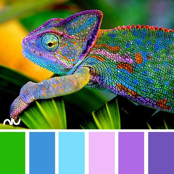 a chamelon sitting on top of a green plant next to color swatches