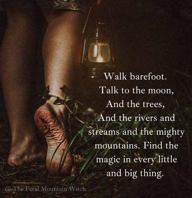 a person standing next to a lantern in the woods with a quote on it that reads walk barefoot talk to the moon, and the trees, and the rivers and streams and streams