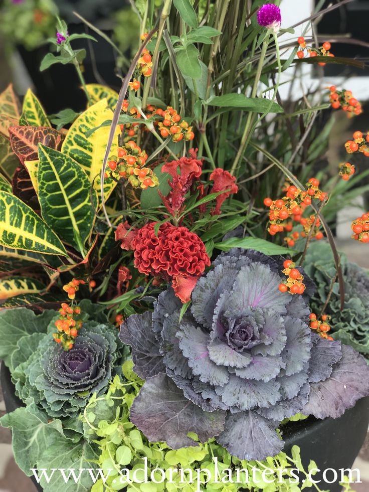 an arrangement of flowers and plants in a pot