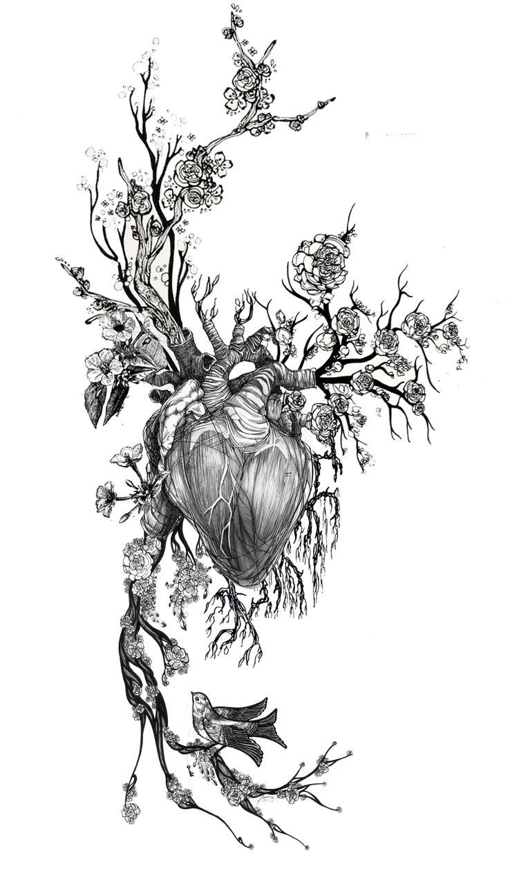 a drawing of a heart surrounded by branches and flowers