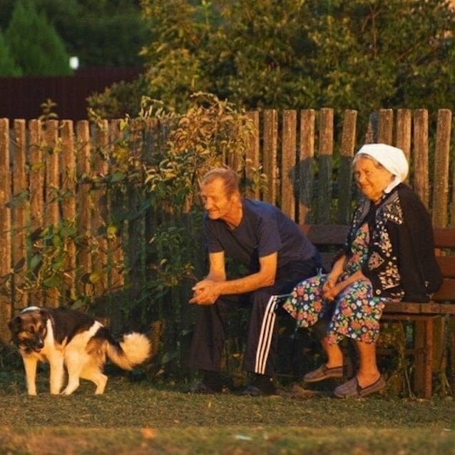 an elderly couple sitting on a bench with their dog