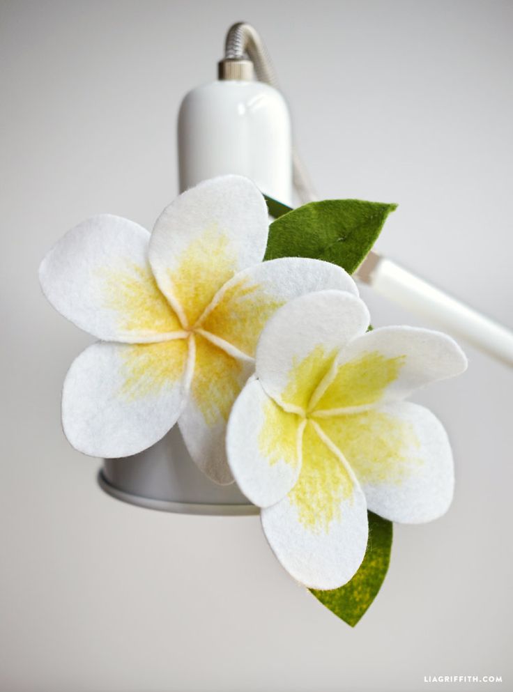 two white and yellow flowers sitting on top of a metal container next to a toothbrush