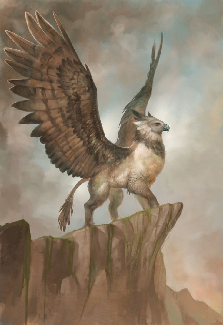 an eagle is standing on the edge of a cliff with its wings spread wide open