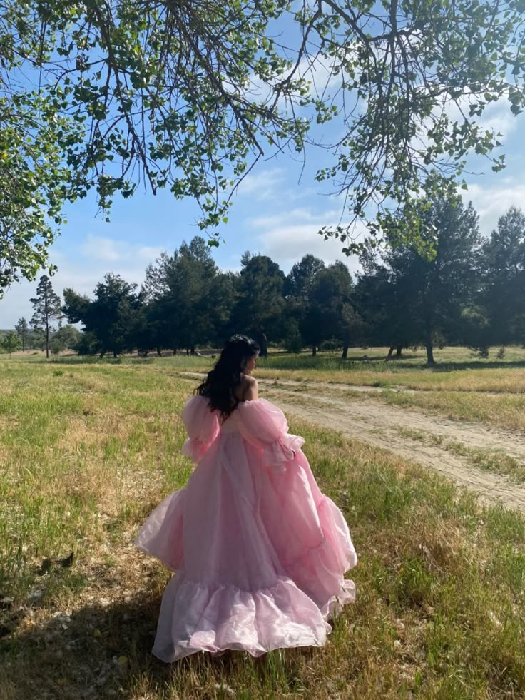 dress from fanciful doll Dress Pic Ideas, Fairytale Dress Aesthetic, Puffy Pink Dress, Cottage Core Princess, Pretty Princess Dresses, Bridgerton Experience, Country Princess, Ballgown Dresses, Gown Aesthetic