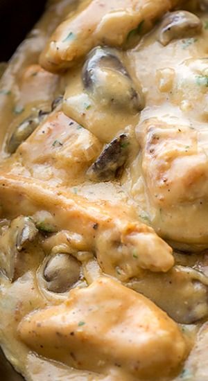 chicken and mushroom stew in a white sauce