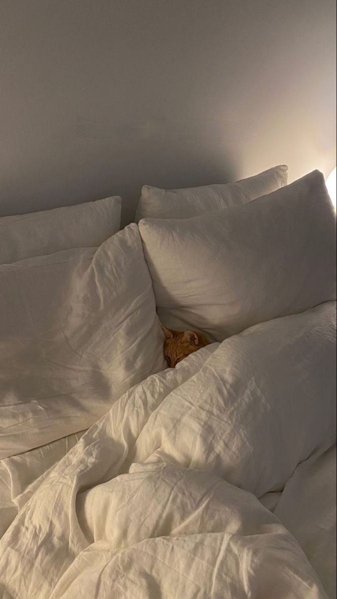 Cat in bed cute cat white aesthetic bed with cat laying in it White Sheets, Cat Sleeping, Cat Aesthetic, Feeling Blue, Orange Cat, Pretty Cats, Bedroom Inspo, My New Room, Something Beautiful