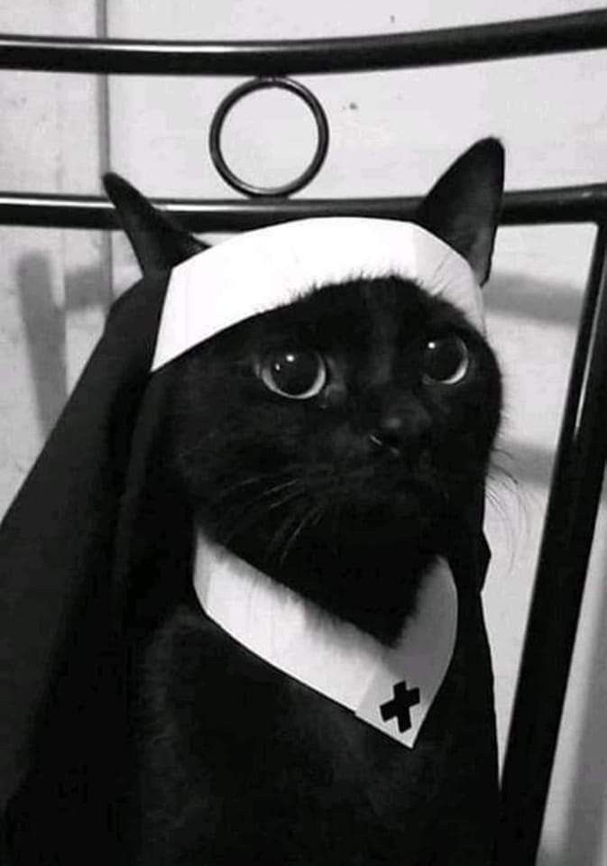 a black cat wearing a nun costume on top of a metal headboard with a cross on it's chest