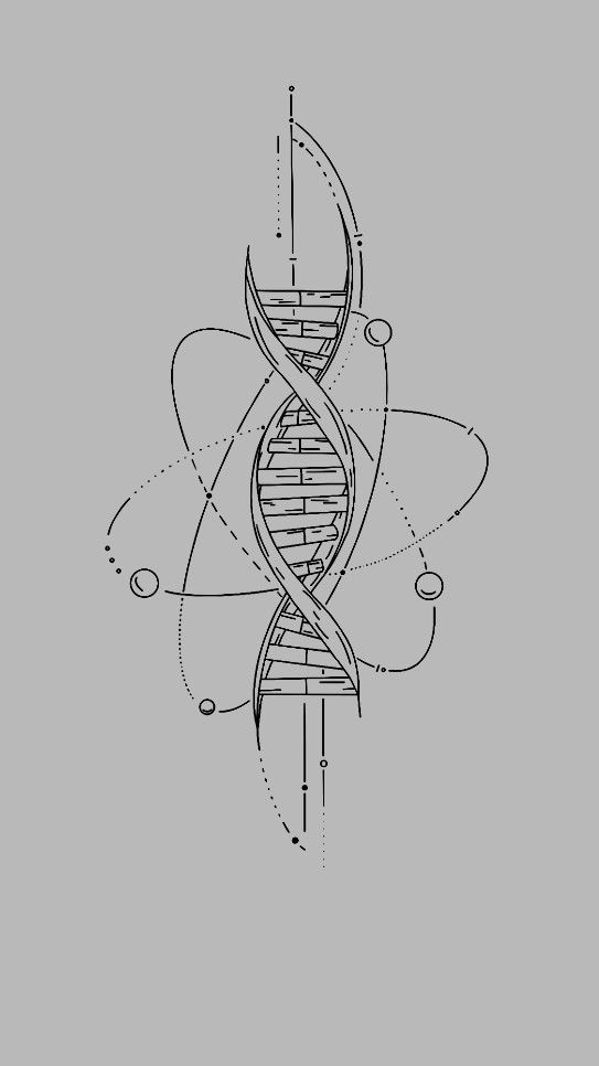 a black and white drawing of a double - stranded structure with circles around it