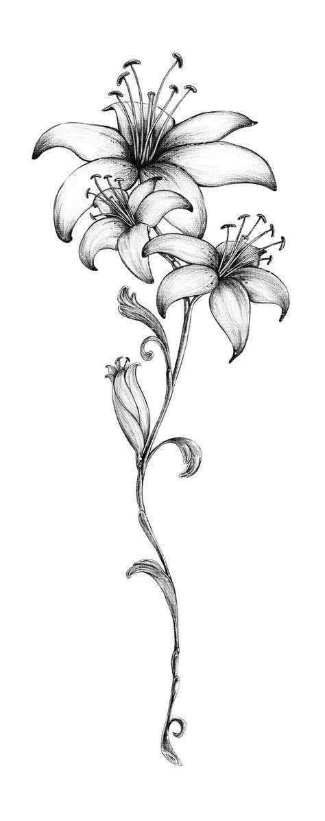 a black and white drawing of flowers