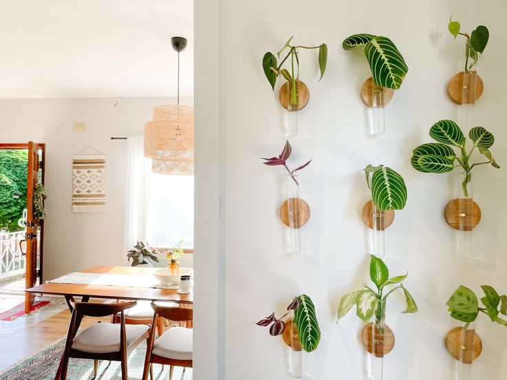 a wall mounted planter on the side of a white wall next to a dining room table