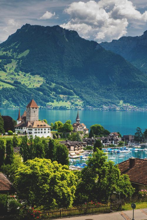 a scenic view of lake thun, switzerland with mountains in the background