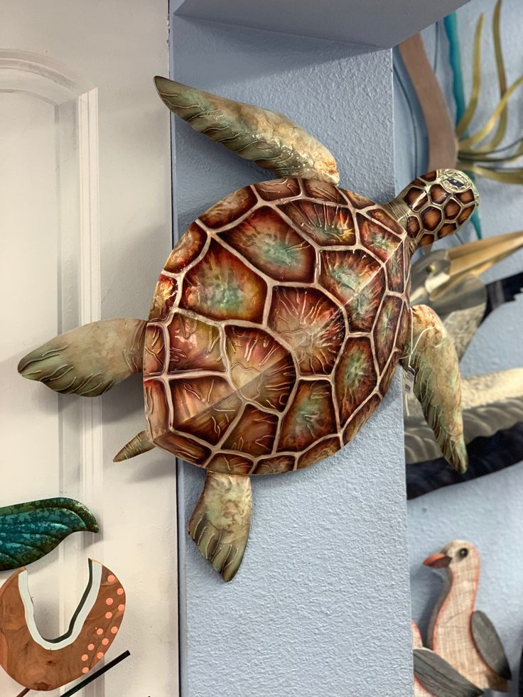 a sea turtle is hanging on the wall