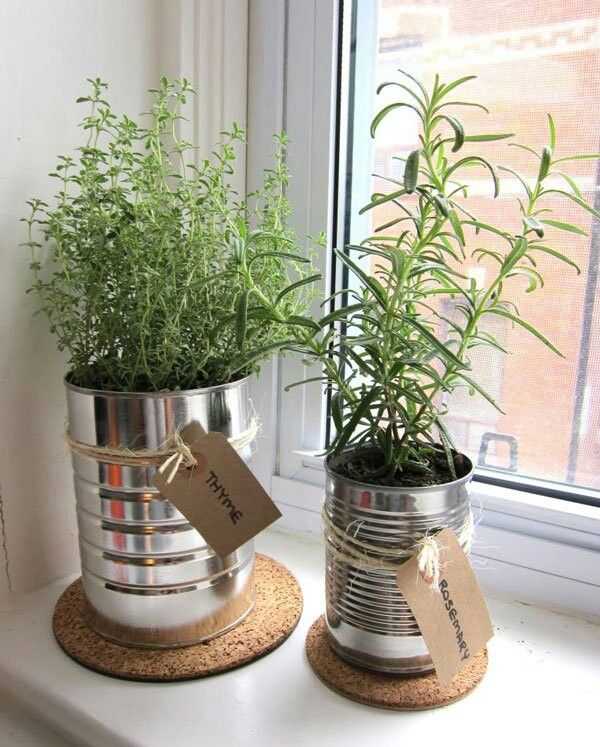 two tin cans with plants in them sitting on a window sill next to each other