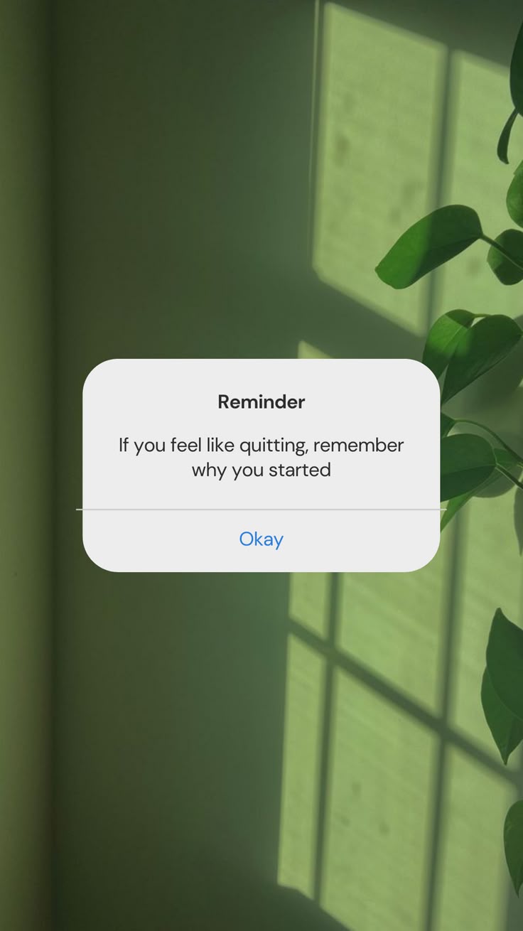 the text reads reminder if you feel like quiting, remember why you started okay