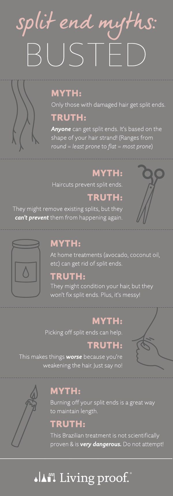 With all the DIY split end fighting methods and extreme split end treatments out there, it's hard to tell fact from fiction. Get the real scoop on split ends. #YourBestHair Hair Facts, Split End, New Hair Growth, Growth Hair, Types Of Hair, Natural Hair Tips, Hair Growth Tips, Split Ends, Hair Journey