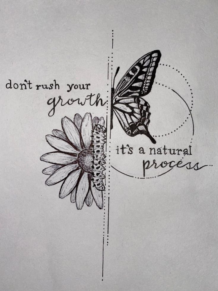 a drawing of a butterfly on top of a flower with the words, don't rush your growth it's a natural process