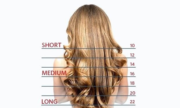 hair length chart Hairstylist Quotes, Cosmetology Student, Hair Length Chart, High Fashion Makeup, Rave Bra, Fairy Makeup, Mermaid Makeup, Lip Hair, Crazy Makeup