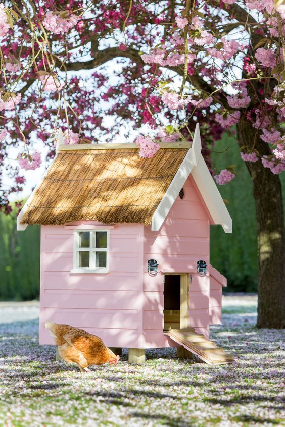 a small pink house with a chicken in it's yard next to a tree