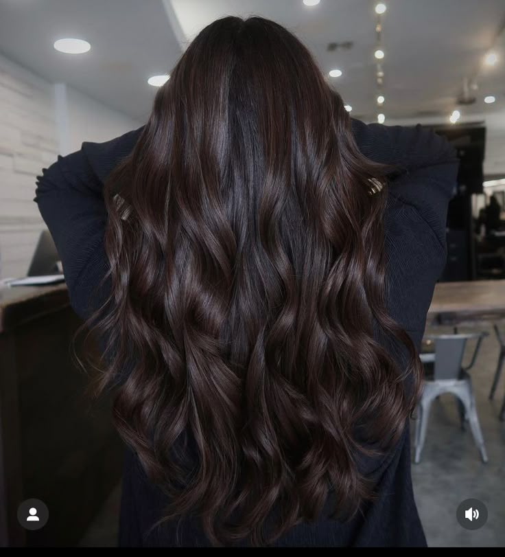 Long Black Hair Brown Highlights, Dark Brown Balayage Long Hair, Long Thick Dark Brown Hair, Obsidian Brunette, Brownie Batter Hair Color Dark, Dark Espresso Brown Hair, Dark Rich Brown Hair Color, Brownie Hair Color, Dark Brown Almost Black Hair