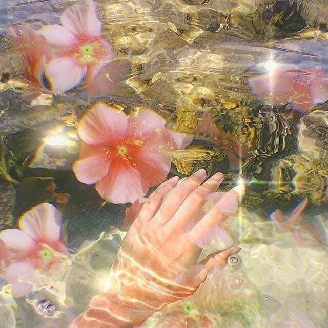 a woman's hand reaching for flowers in the water