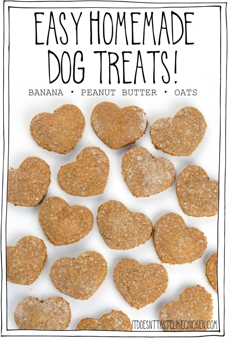 homemade dog treats made with peanut butter and oats are the perfect treat for dogs