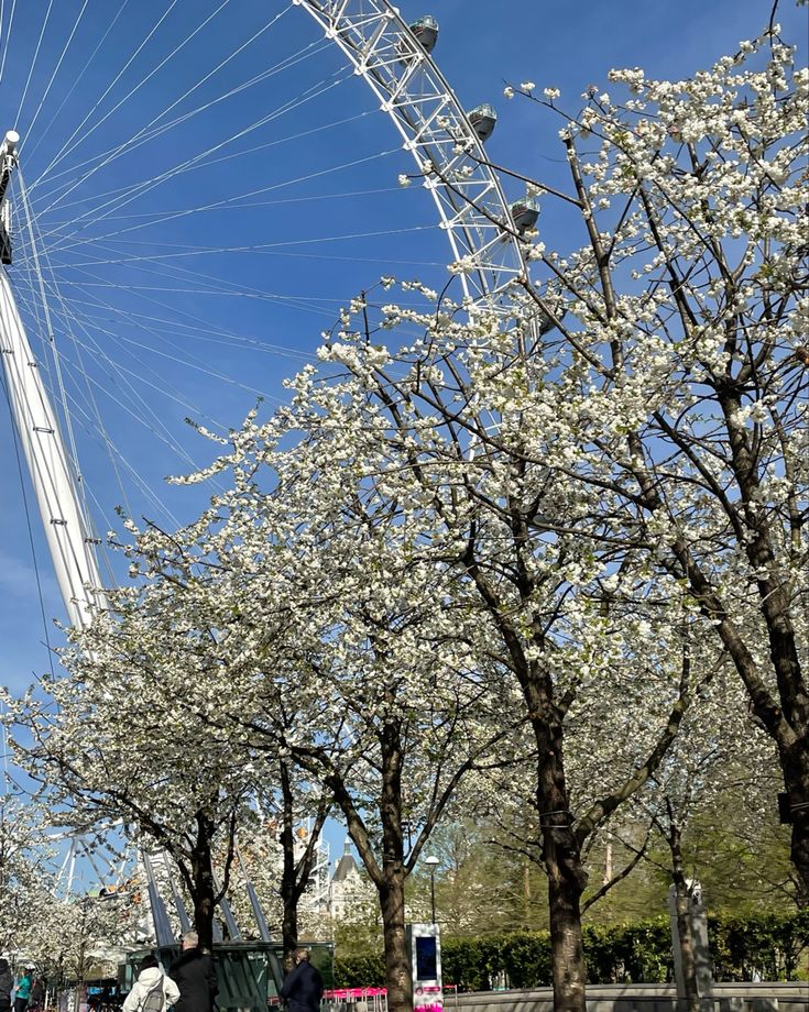 a ferris wheel in the middle of some trees