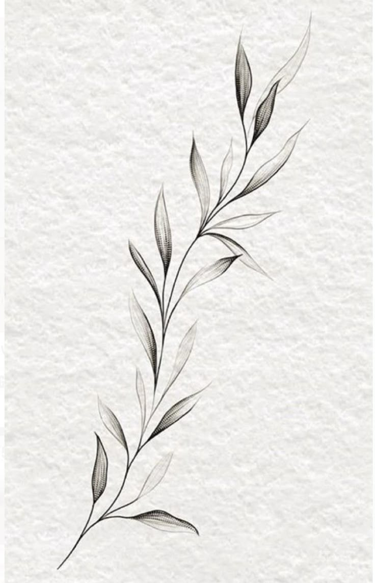 Olive Branch Tattoo, Wrap Around Tattoo, Around Arm Tattoo, Tato Minimal, Leaf Tattoo, Wrap Tattoo, Branch Tattoo, Vine Tattoos, Classy Tattoos