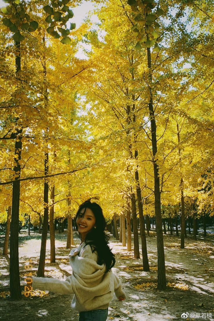 a woman standing in the middle of a forest surrounded by trees with yellow leaves on them