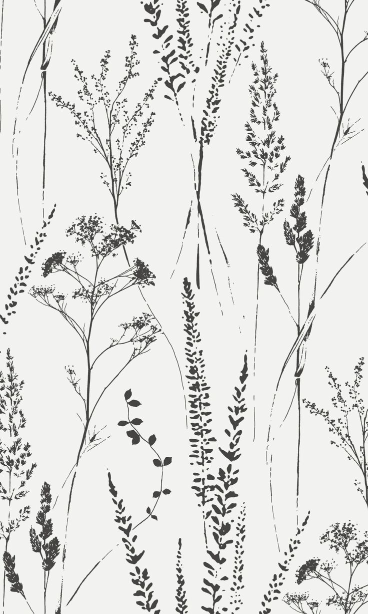 black and white drawing of plants on a light gray background, with small leaves in the foreground