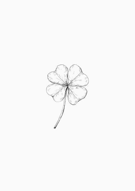 a drawing of a four leaf clover