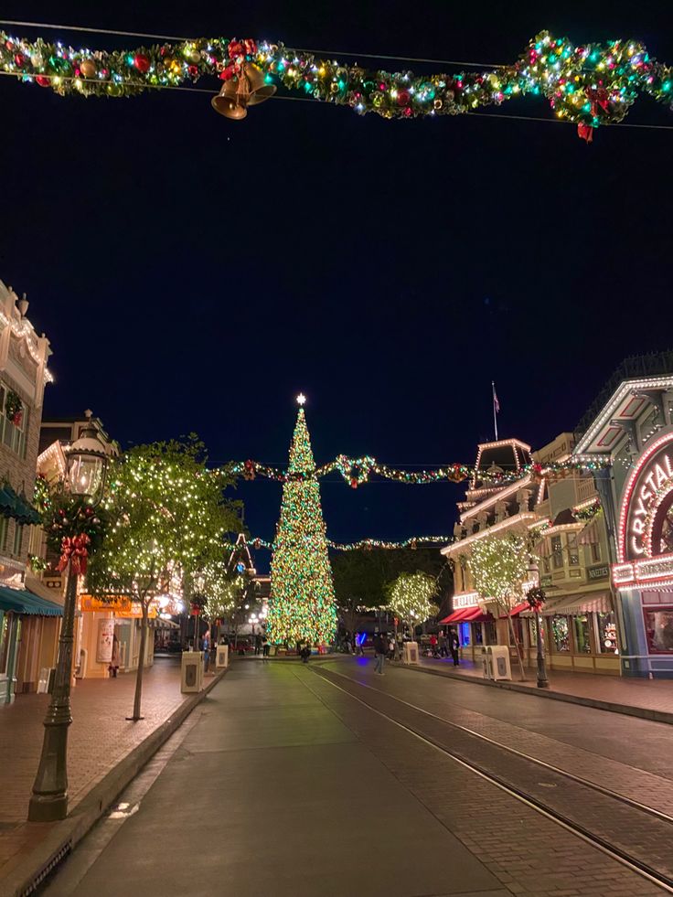 a christmas tree in the middle of a street