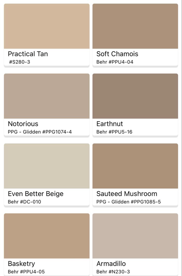 the different shades of paint for walls and floors in various colors, including beiges, brown