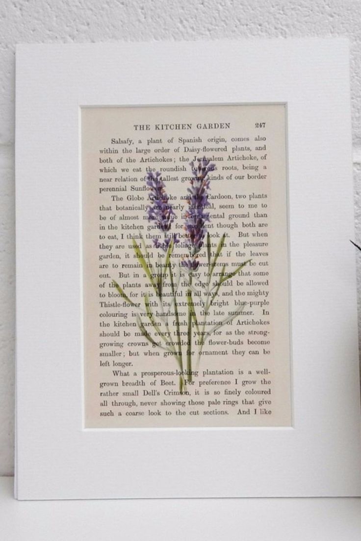 an old book page with lavender flowers on it and the words the kitchen garden written in english