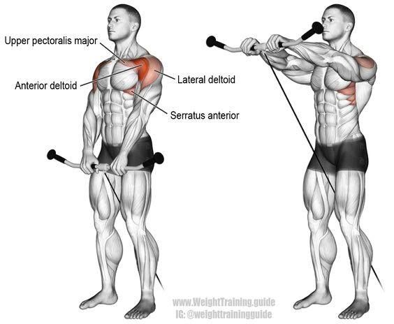 an image of a man doing exercises with dumbbells and barbell curls on his back