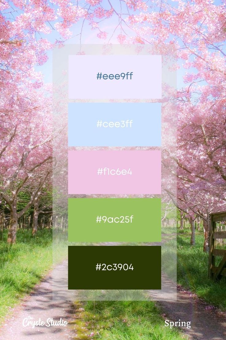 the color scheme for trees with pink flowers on them