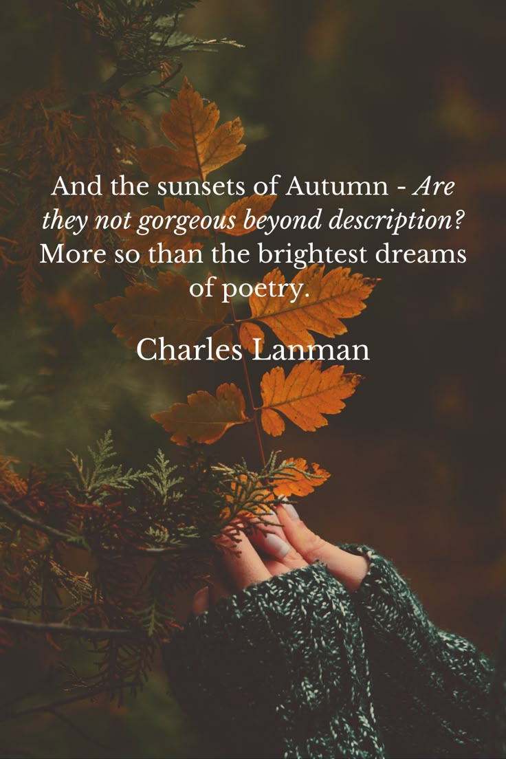 a person holding leaves in their hand with a quote about autumn and the sunsets of autumn are they not gorgeous beyond description? more so than the brightest dreams