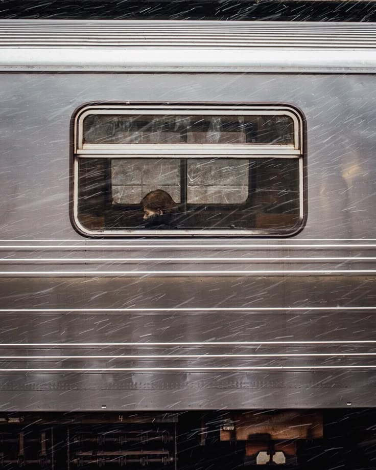 a train car with the door open and snow falling on it's windows as seen from inside