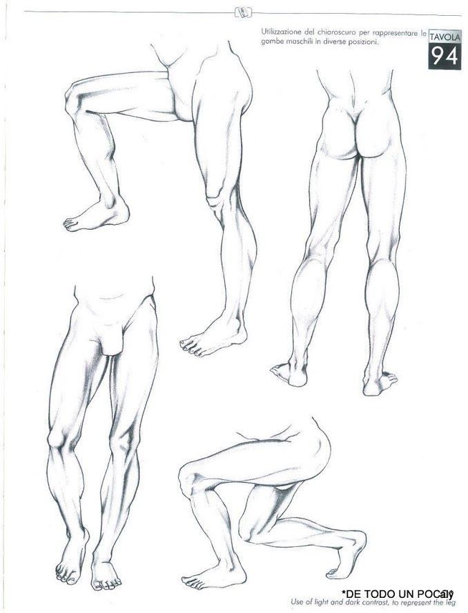 an image of a man's body and legs in different positions, from the front to the back