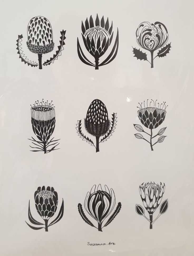 a bunch of different types of flowers in black and white on a sheet of paper